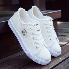 Women's Canvas Lace Up Shoes Lightweight Casual Walking Shoes