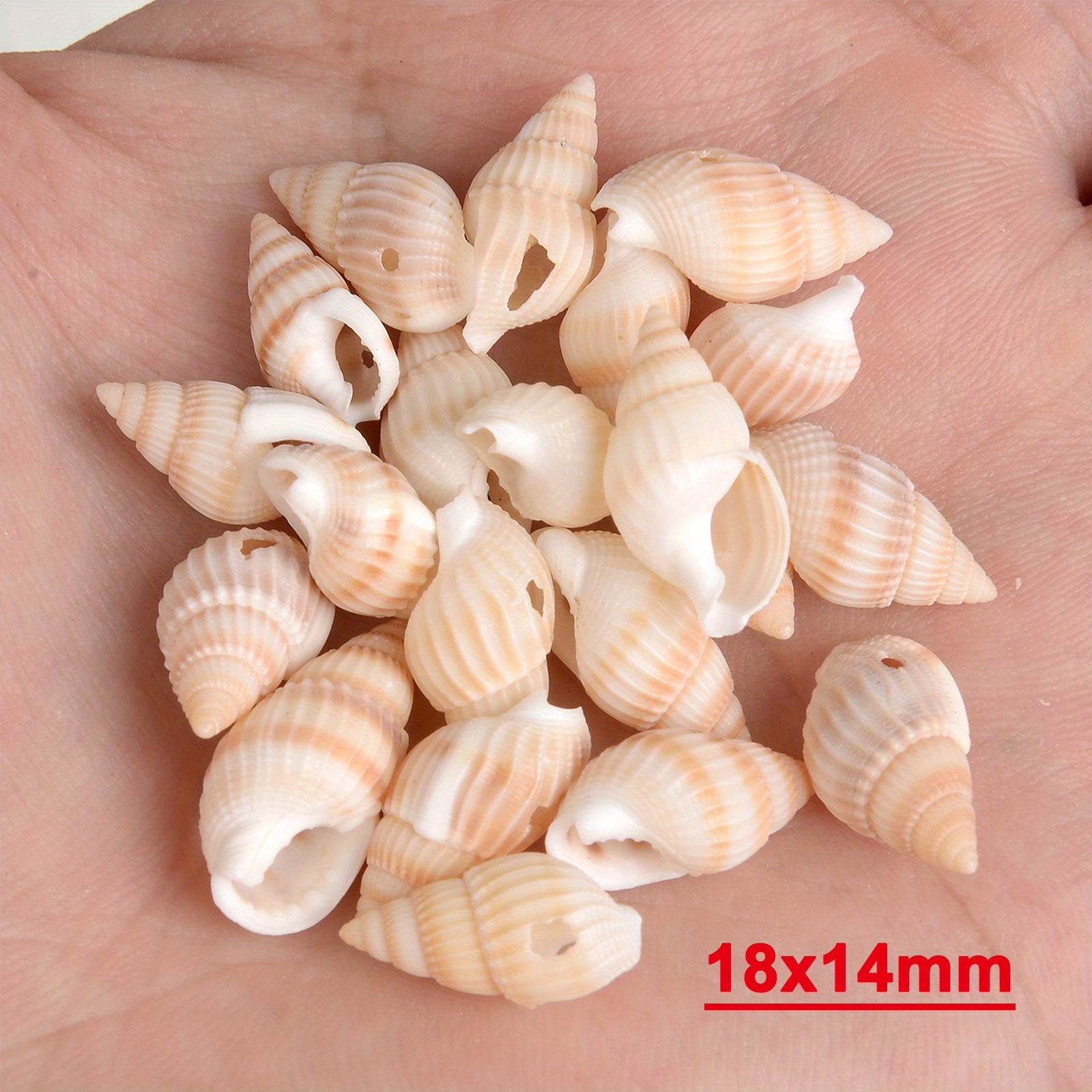 30pcs Sea Conch Shell Beads Cowrie Charm DIY Necklace Bracelet Accessories