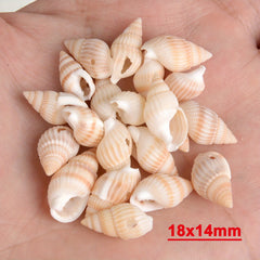 30pcs Sea Conch Shell Beads Cowrie Charm DIY Necklace Bracelet Accessories