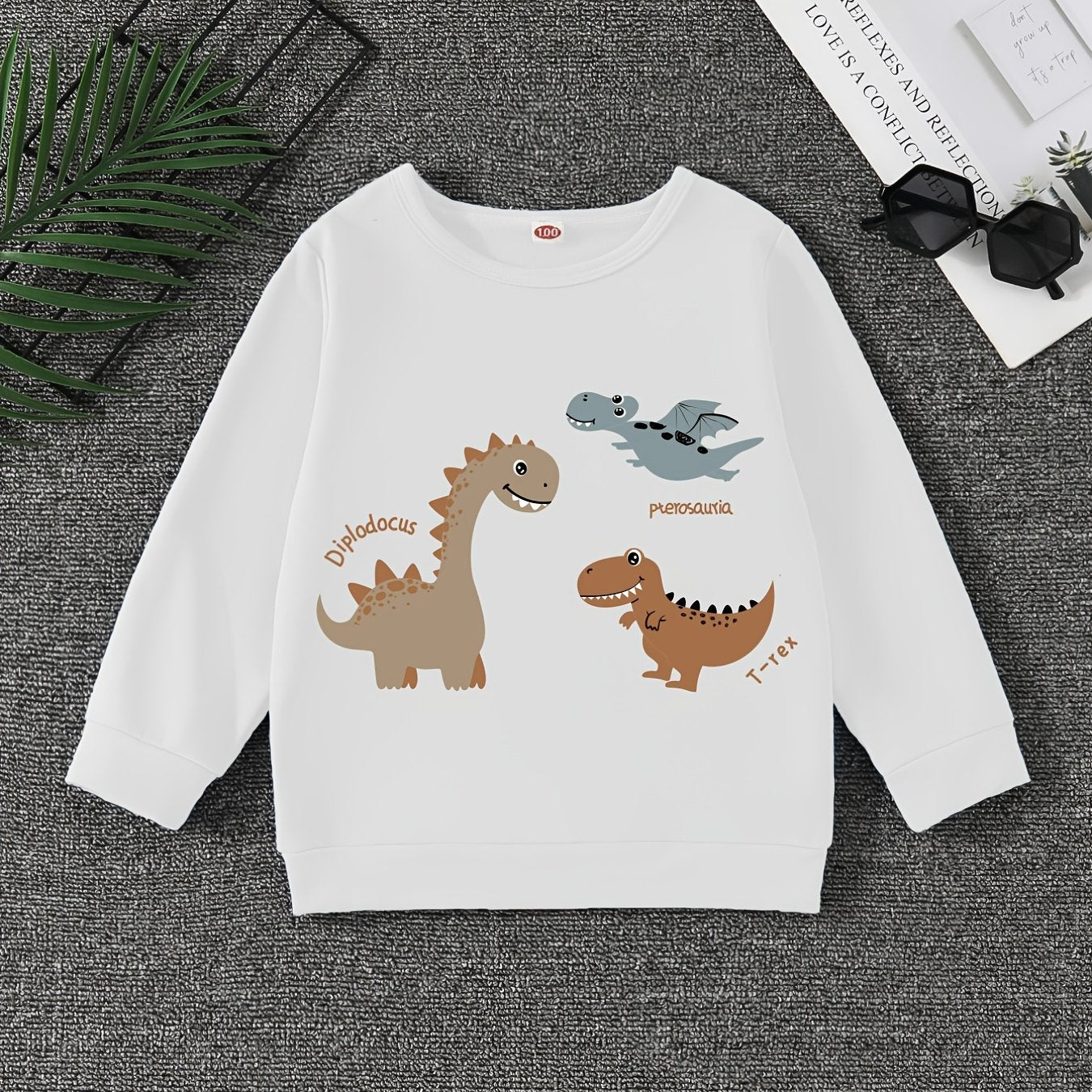 Dinosaur Print Boys Sweatshirt Long Sleeve Crew Neck Tops Kids Clothing