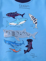 Kids Shark Printed Long Sleeve Round Neck Sweatshirt