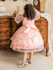 Girls Princess Embroidered Tulle Dress Puffy Birthday Wedding Gown