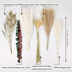 Natural Dried Flowers Pampas Grass Decor
