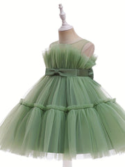 Girls' Mesh Ball Gown Princess Dress