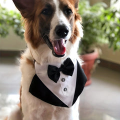 Formal Dog Tuxedo Bandana with Bow Tie for Weddings Graduations Dress Up