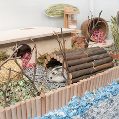 2pcs Wooden Ladder Bridges Hamster Mouse Rat Rodents Toys