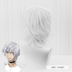 Gray Short Straight Anime Wig