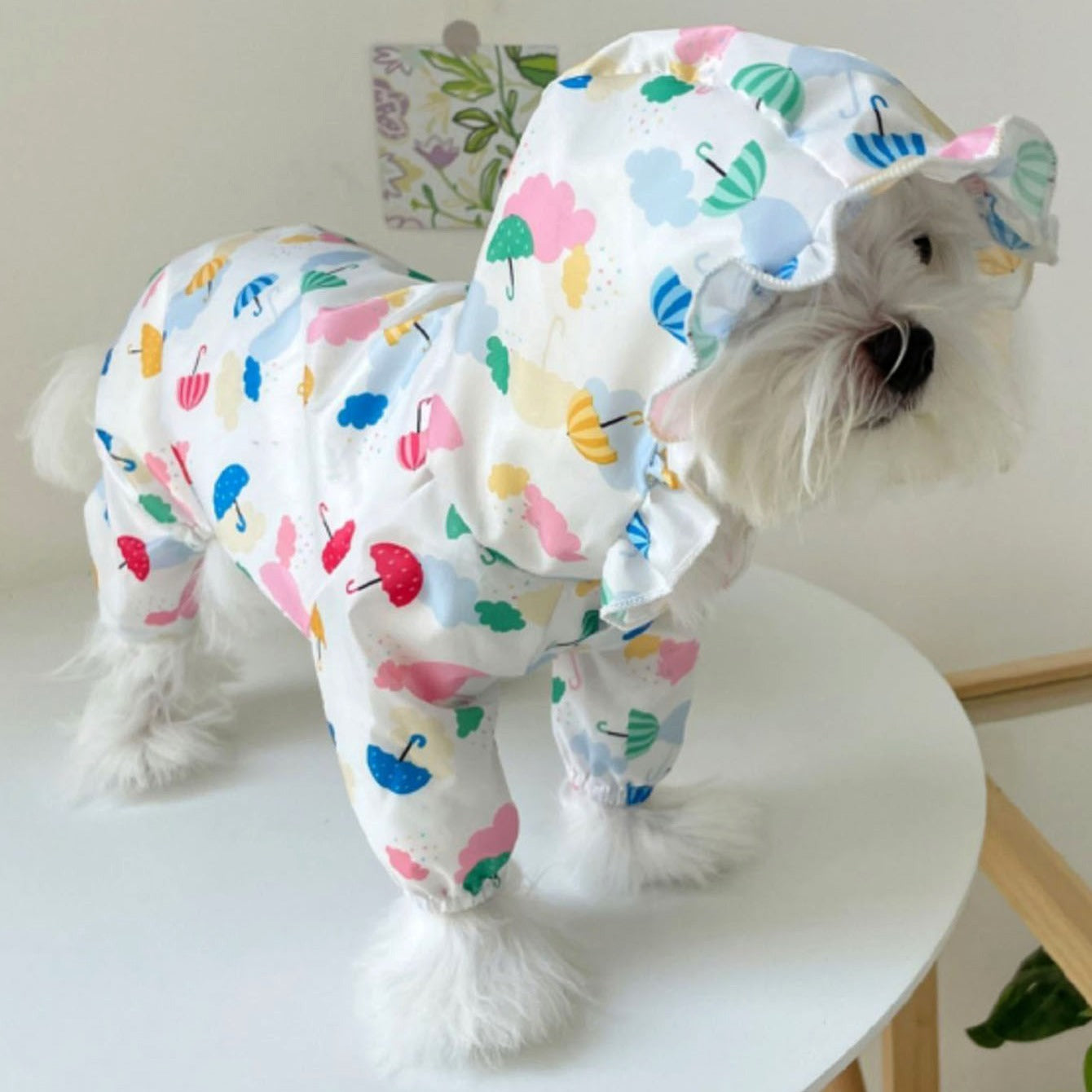 Waterproof Pet Raincoat for Small and Medium Dogs