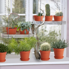 Small Plastic Plant Pots with Saucers for Flowers Succulents Seed Start