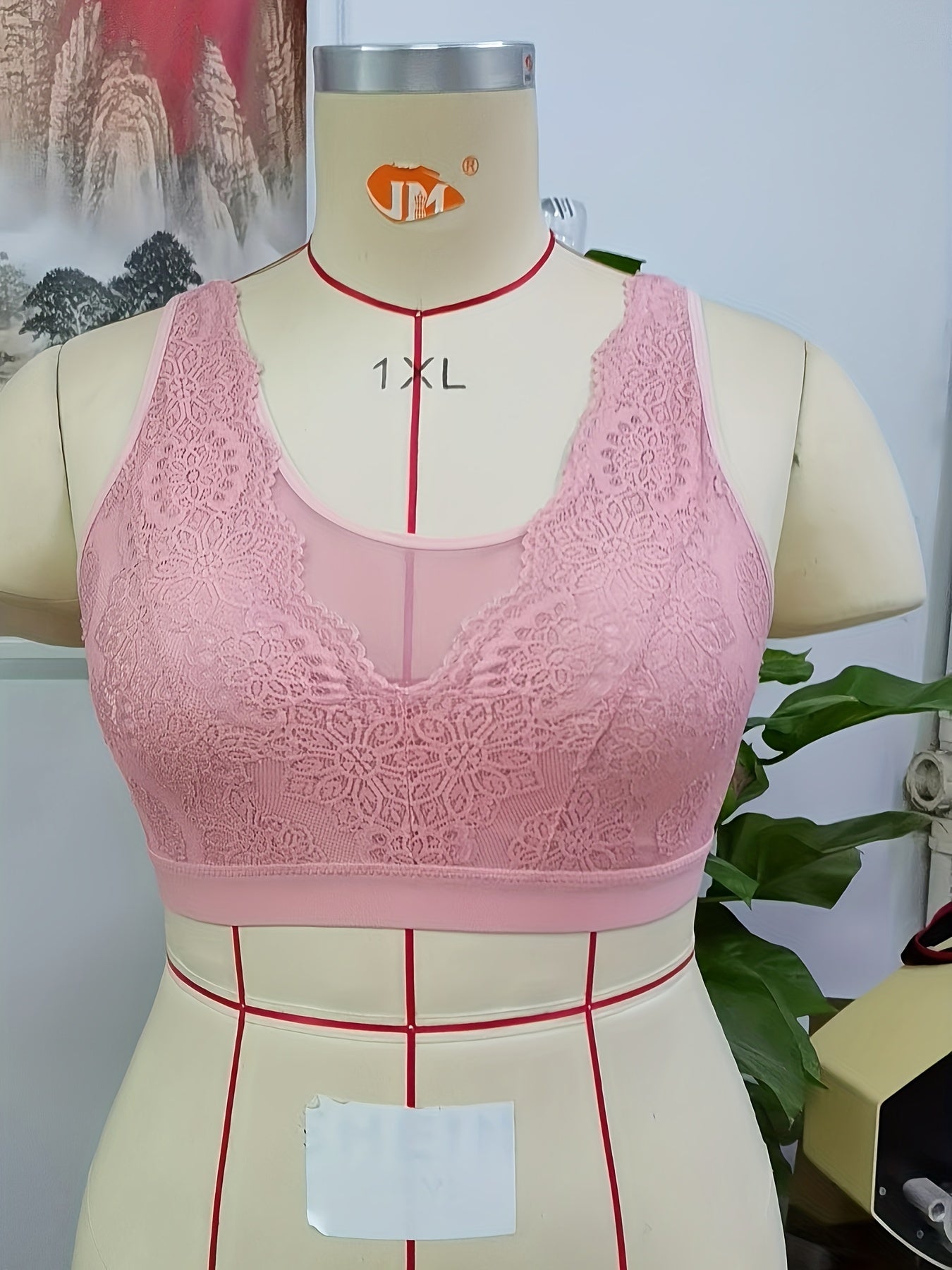 Sexy Bra Women's Floral Lace Mesh Wide Straps Semi Sheer Bra