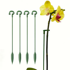 4pcs Phalaenopsis Flower Stands Leaf Protection Branch Protection