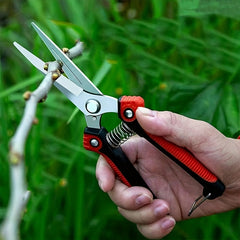 Stainless Steel Fruit Scissors w/ Comfortable Grip Handle