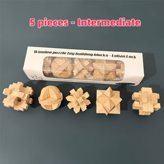 Wooden Puzzle Set 5-Pack Medium-Hard Level Craft with Instructions