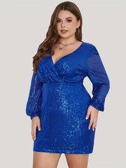 Sequin Long Sleeve Occasion Dress