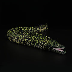 Realistic Green Leopard Print Conger Eel Plush Toy 39.76in