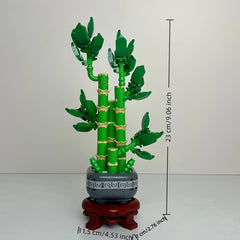 Fortune Lucky Bamboo Jiejie High Rise Creative Potted Flower Bouquet
