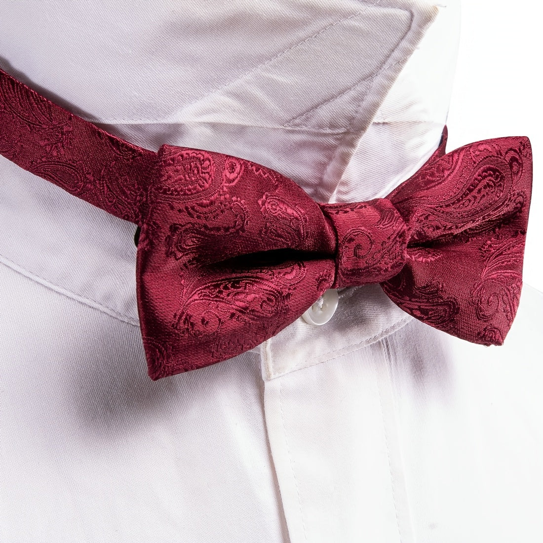 Barry Wang Men's Burgundy Red Paisley Bow Tie Set