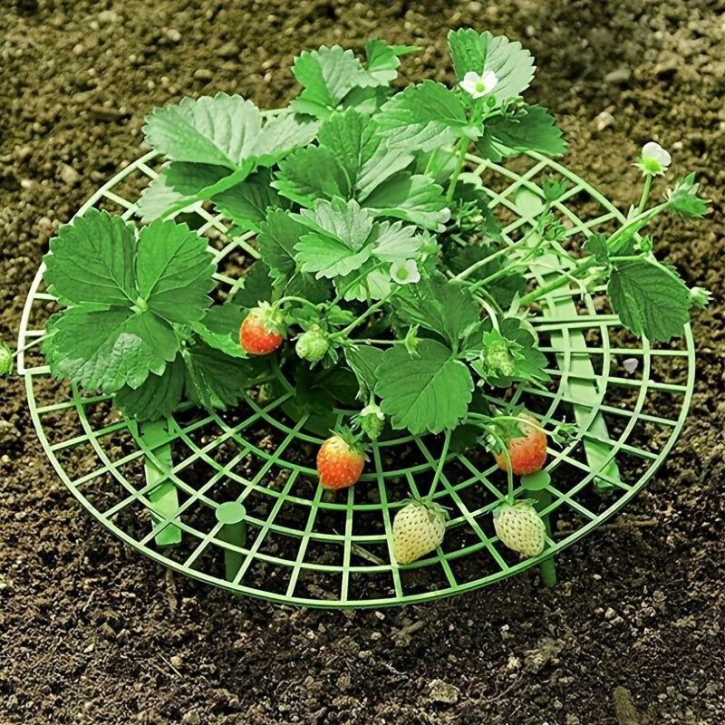 Vegetable Rack Plant Climbing Support for Balcony, Strawberry Planting Rack