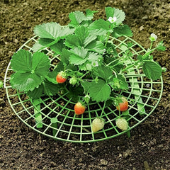 Vegetable Rack Plant Climbing Support for Balcony, Strawberry Planting Rack