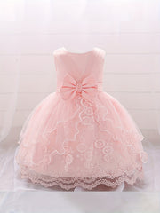 Baby Girls Floral Embroidery Princess Dress