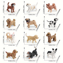 Dog Models Shiba Inu Chihuahua Bulldog Golden Retriever