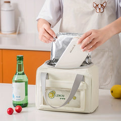 Large Capacity Japanese Lunch Bag Insulated Bento Picnic Office Work Waterproof