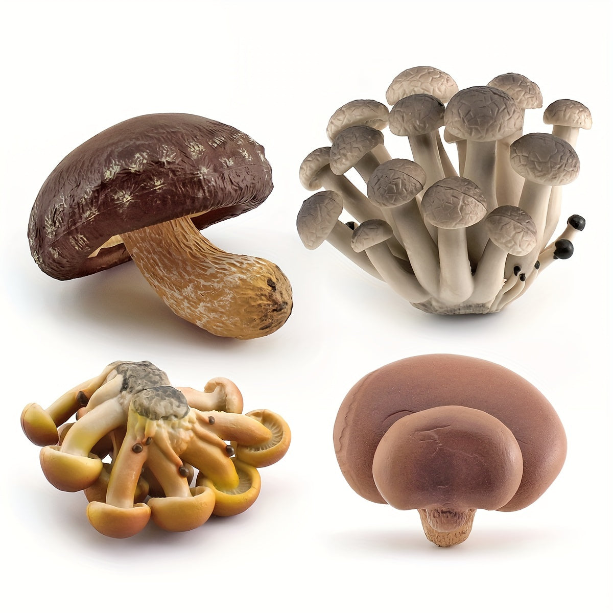 Plant Mushroom Model Toys - Set of 3