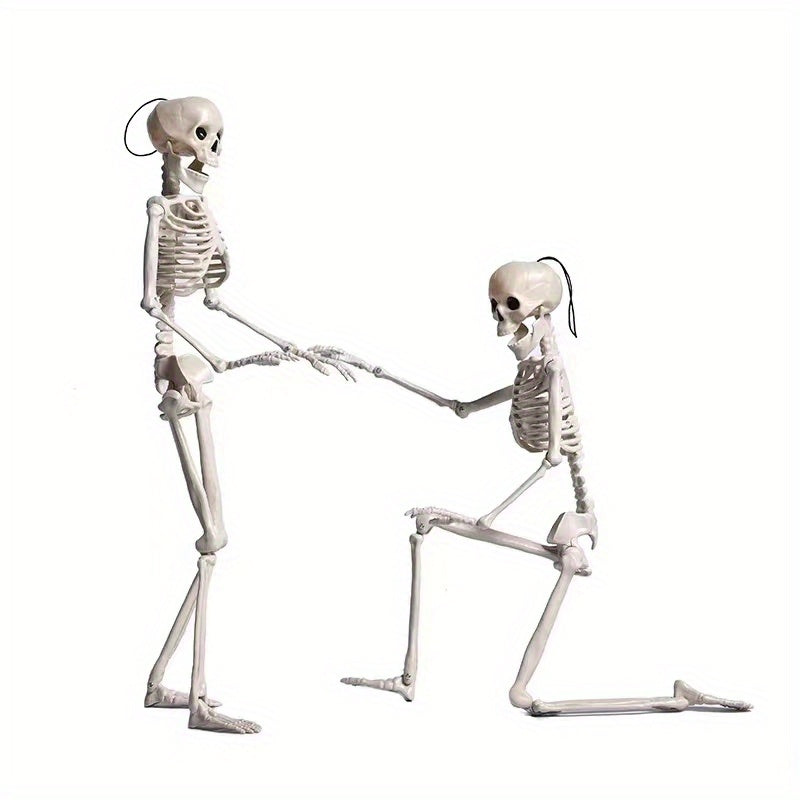 2pcs Halloween Skull Skeleton with Movable Joints - Halloween Gift