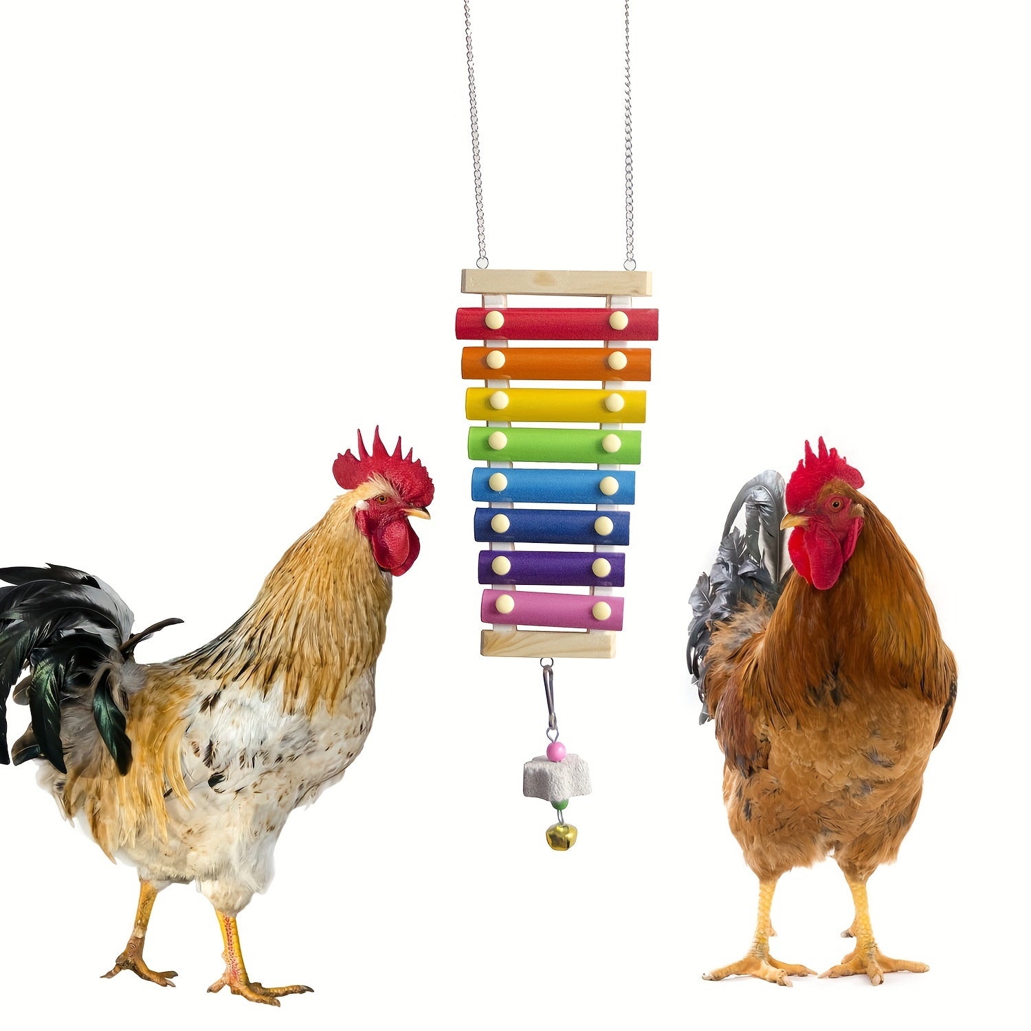 Colorful Wooden Xylophone Toy for Birds