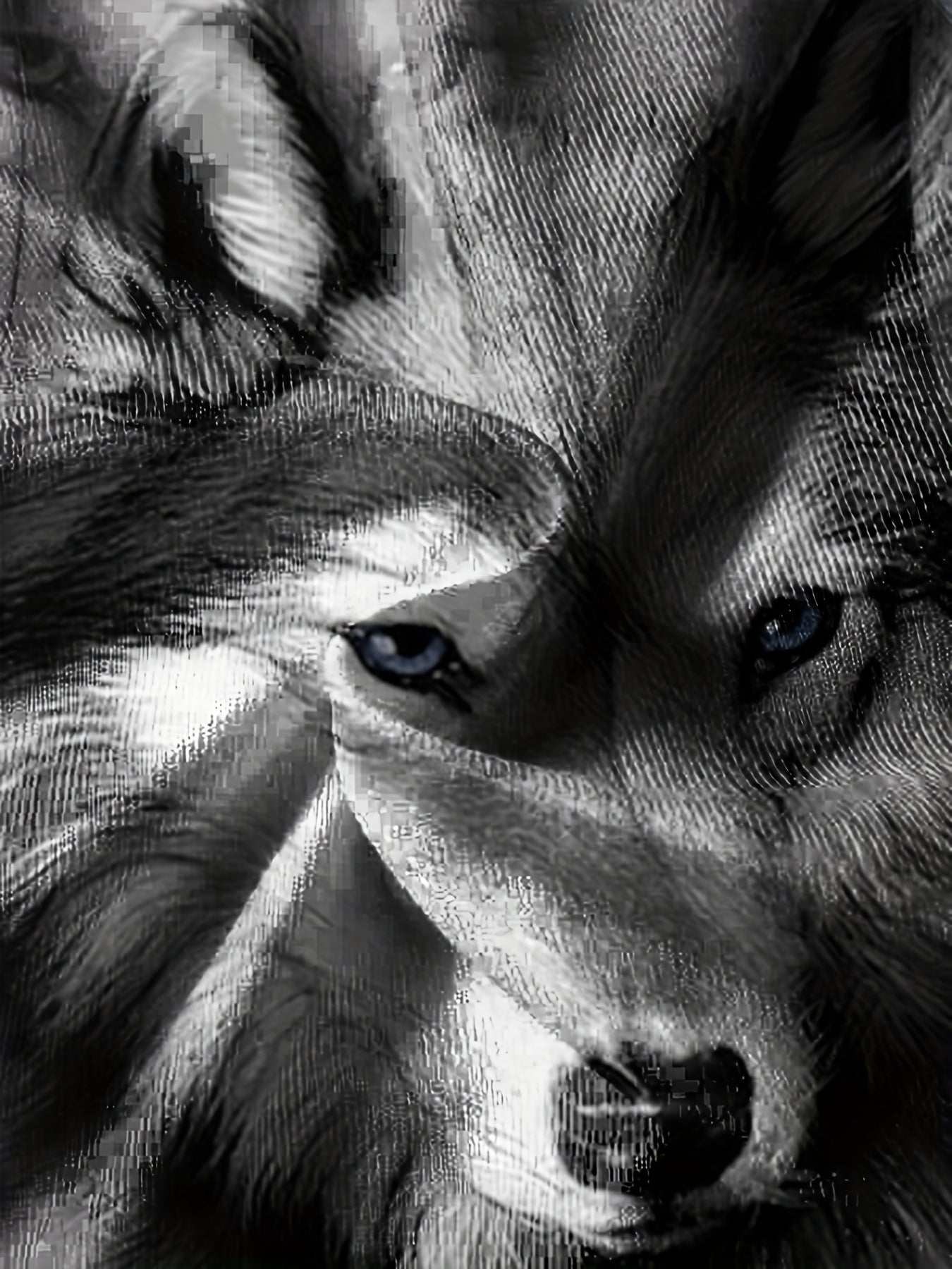 Breathable Wolf Graphic T Shirt For Boys - Summer Outdoor Wear