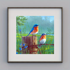 5D Diamond Painting Kit Bird Sun Moon English Bear Home Decor 20x20cm