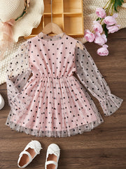 Mesh Dress & Polka Dot Princess Dress