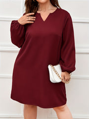 Solid Lantern Sleeve Notched Neck Dress