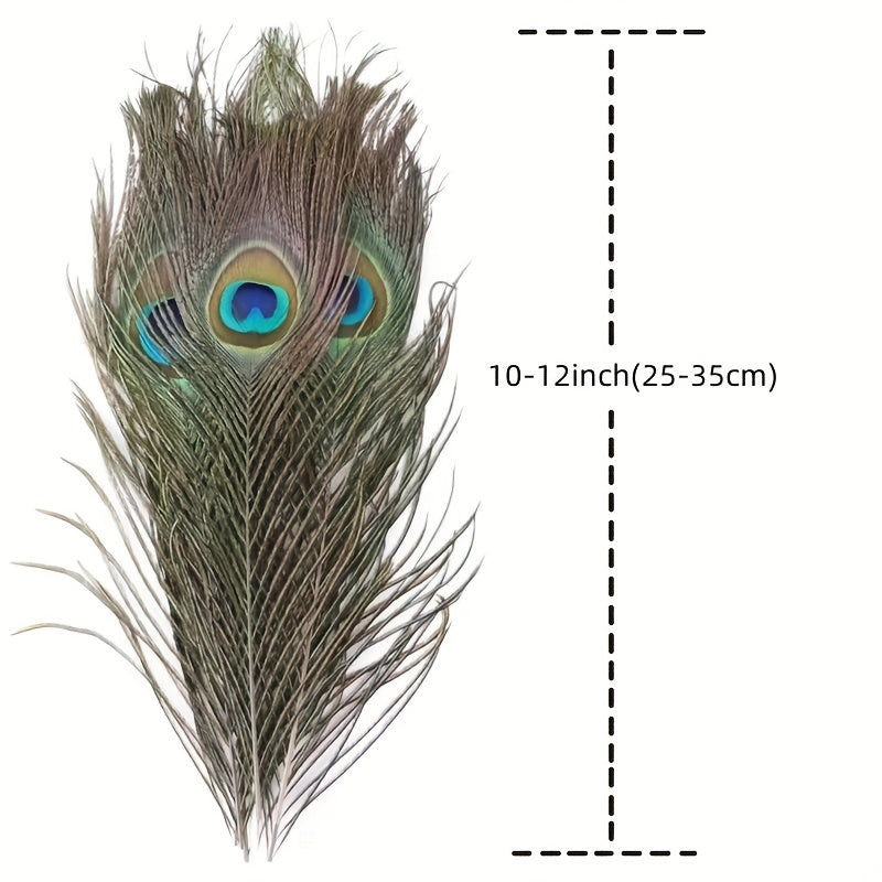 15pcs Artificial Peacock Feather 10-12 Inches DIY Handicra