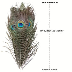 15pcs Artificial Peacock Feather 10-12 Inches DIY Handicra