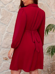 Women's Solid Lantern Sleeve Polo Neck Dress