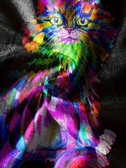 Colorful Cat Print Boy's Casual Tees Short Sleeve Crew Neck T Shirt