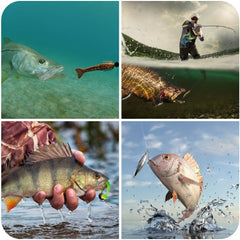 23pcs Fishing Lures Kit Tackle Box for Bass Trout Salmon Fishing Accessories