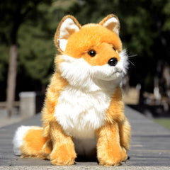 img_5458713