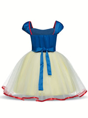 Girl Mesh Puffy Princess Dress Cosplay Costume