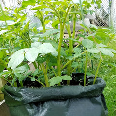 Grow Potatoes Onions Tomatoes 1pc Planting Bag