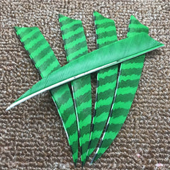 50pcs 10 12 Turkey Feathers Fletchings Arrow Feathers Fletches DIY Arrows