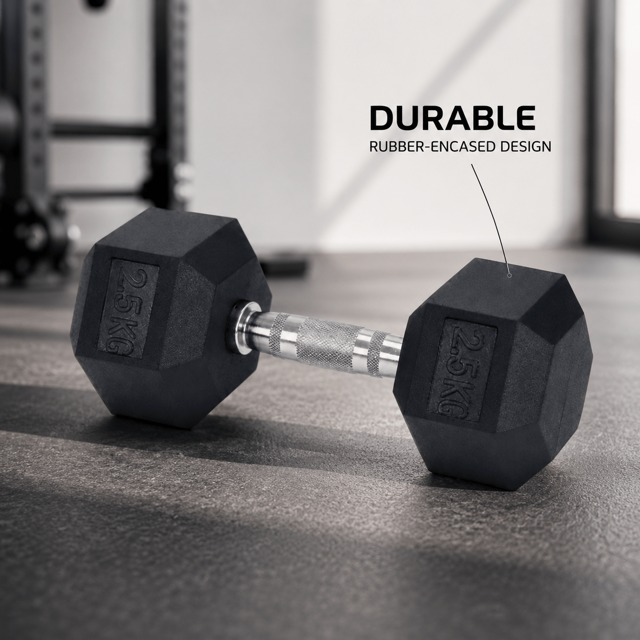 img_6303008