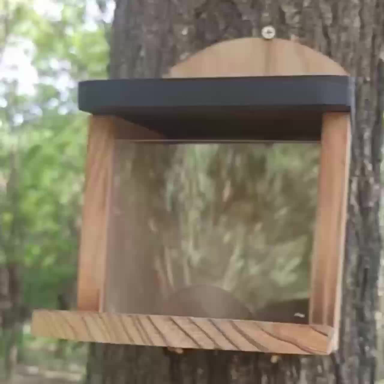 Wooden Squirrel Feeder: Handcrafted Chipmunk Picnic Table