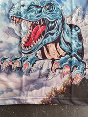 Comfy Dinosaur T Shirt for Kids Soft Stretchy Fabric