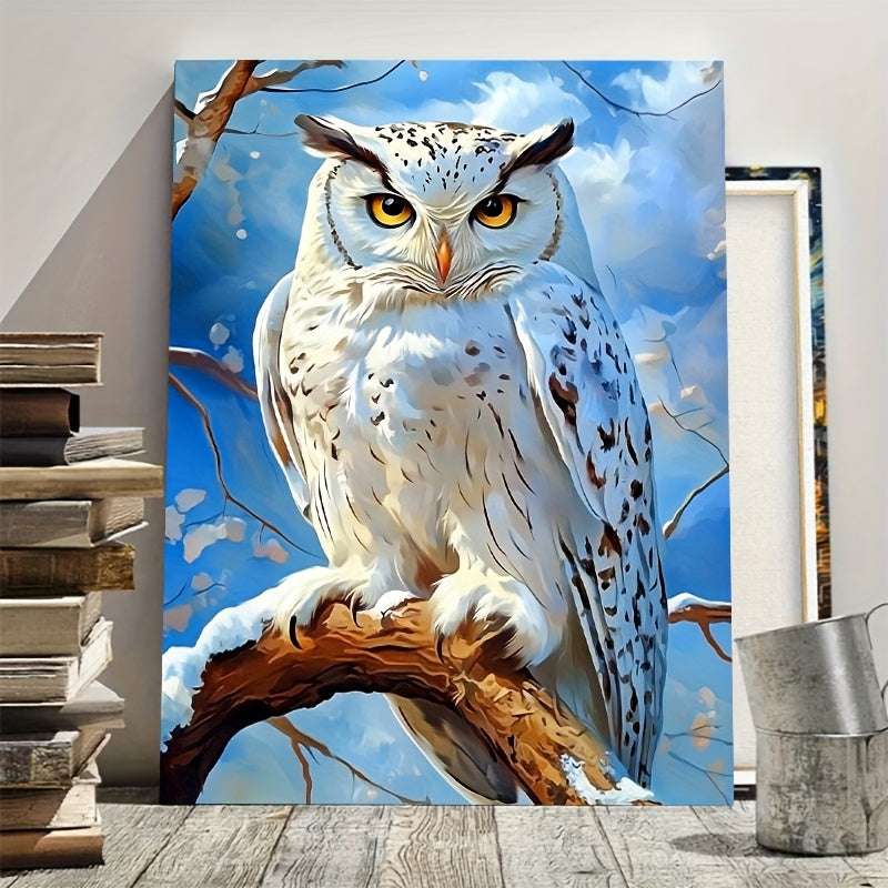 Adult DIY Paint by Numbers Kit Owl Christmas Birthday Gift Home Decor