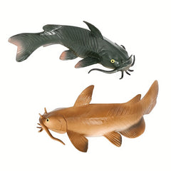 Animal Models Freshwater Fish Catfish Bearded