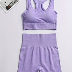 2 Pcs Yoga Set Sports Bra & Shorts Seamless Fitness Activewear