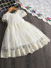 Toddler Girls Puff Sleeve Princess Dress Kids Summer Clothes