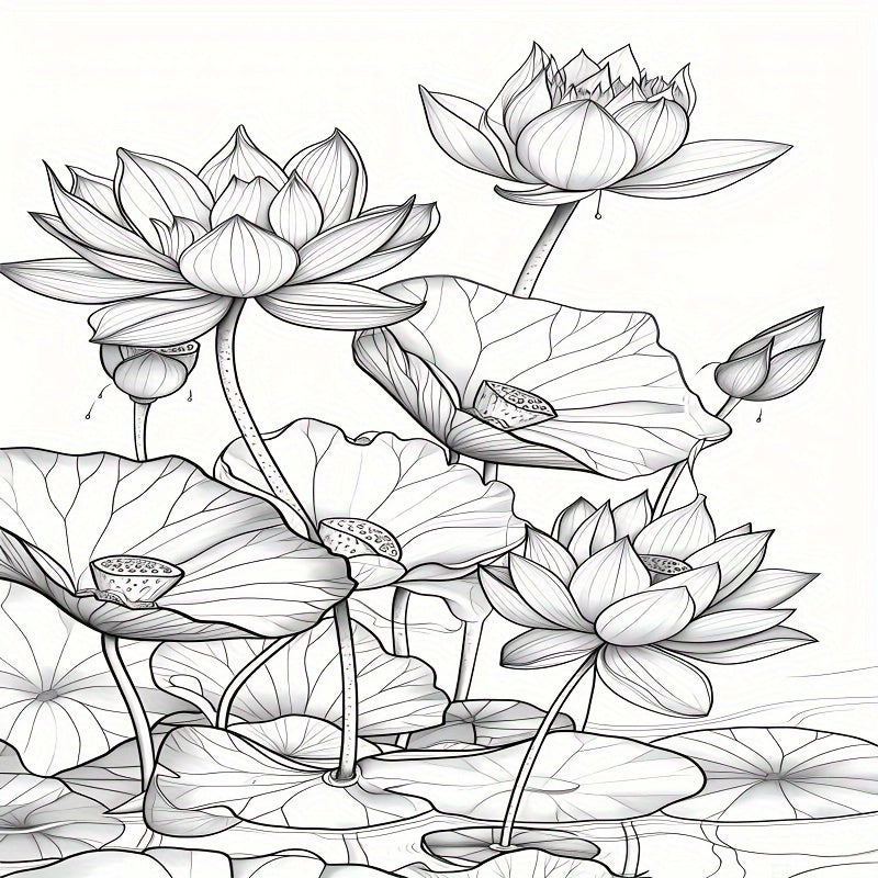 Relaxed Coloring Book with Festive Birthday Party Gift for Adults and Teens